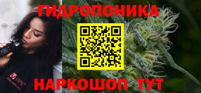 кристаллы Гусь-Хрустальный