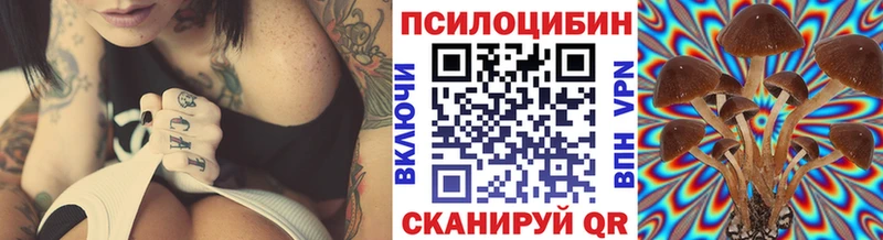 Галлюциногенные грибы Psilocybe  Заводоуковск 