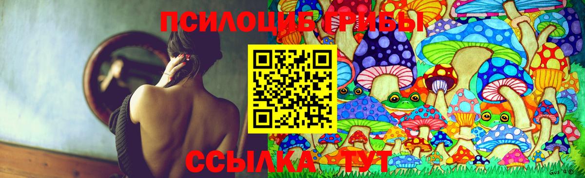 Псилоцибиновые грибы GOLDEN TEACHER Заводоуковск