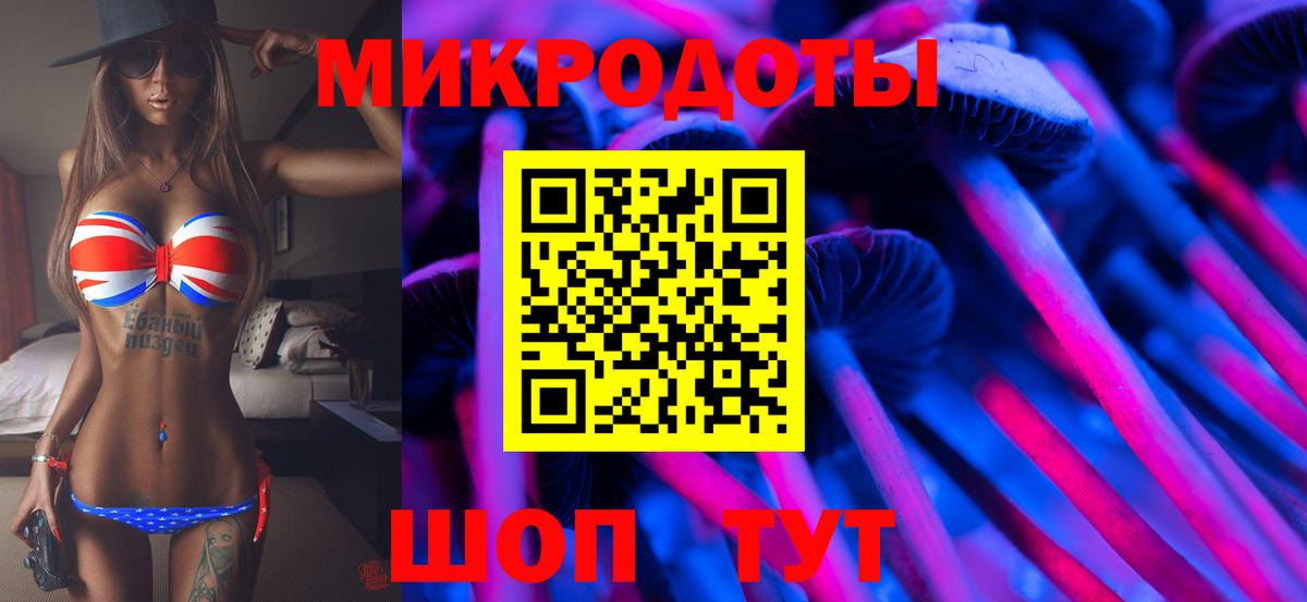 Псилоцибиновые грибы Cubensis  Заводоуковск 