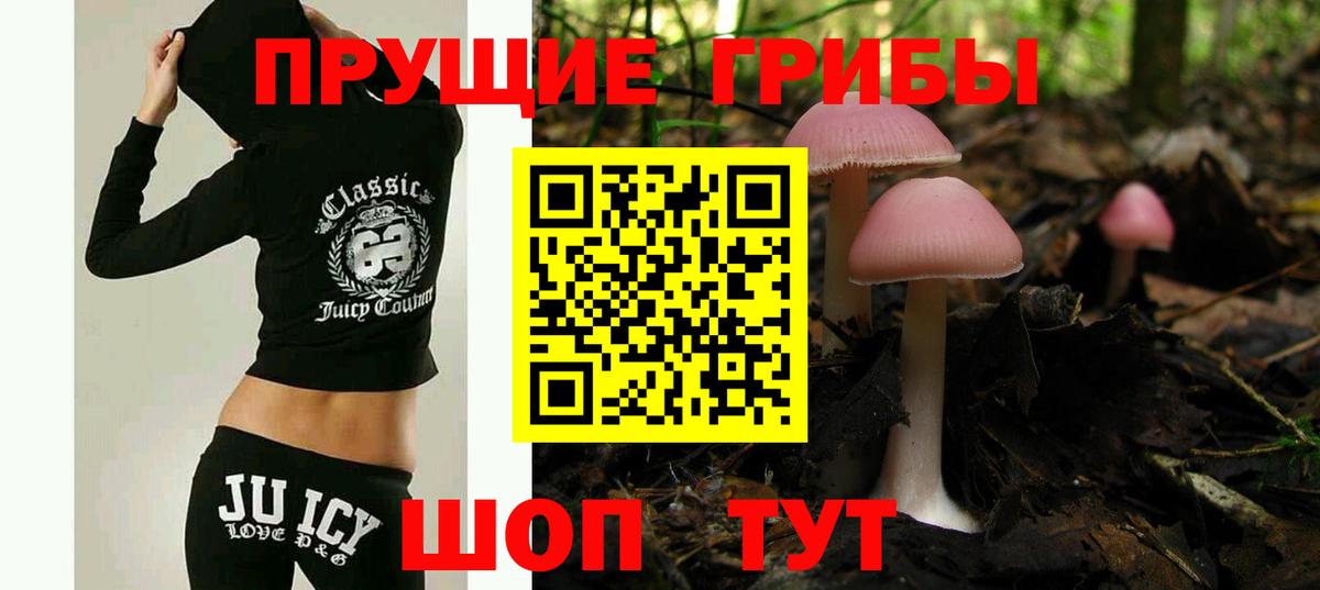 Галлюциногенные грибы Cubensis Заводоуковск