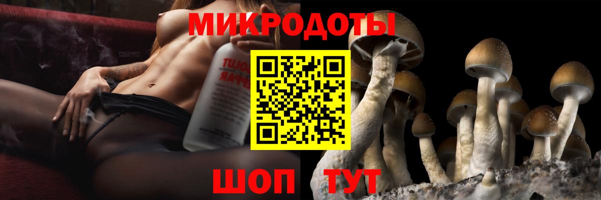 Псилоцибиновые грибы Psilocybine cubensis  Вход с VPN  Галлюциногенные грибы Magic Shrooms  Заводоуковск 