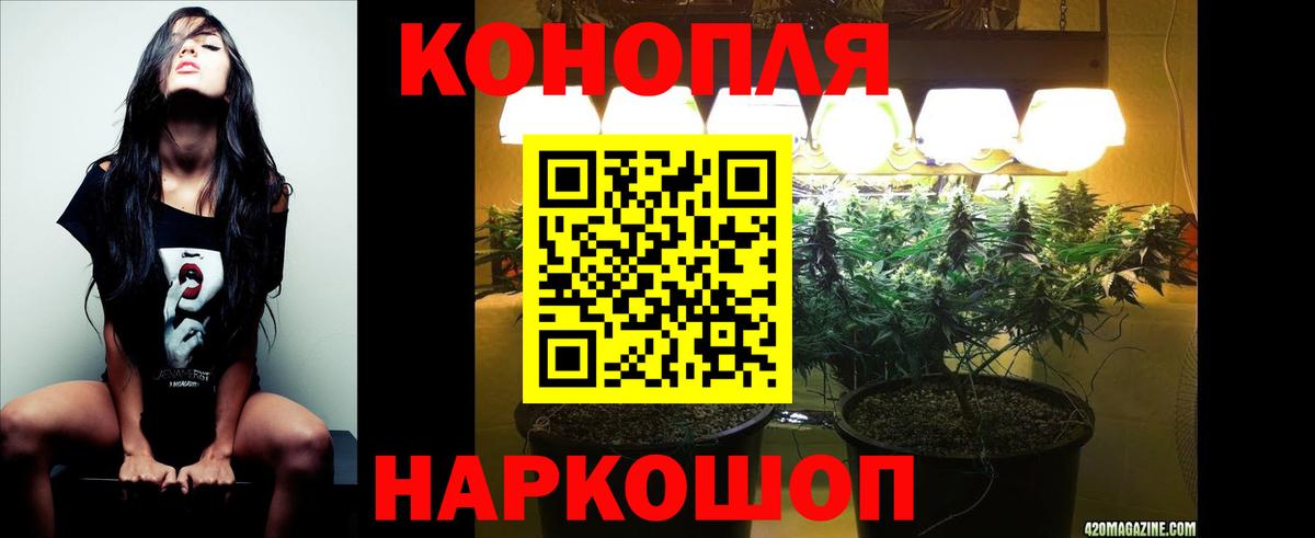 Конопля THC 21%  Каннабис гибрид  Вход с VPN  Заводоуковск 